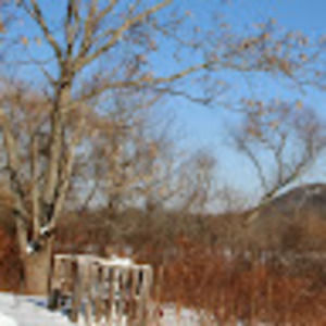 Meet your Posher, Rosann